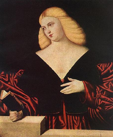 Bernardino Licinio Portrait of a woman oil painting picture